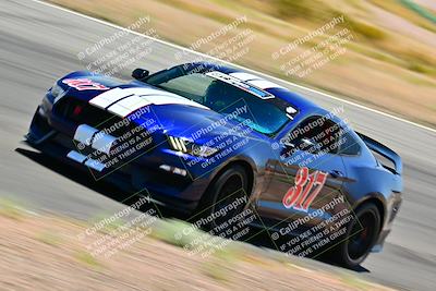 media/May-10-2025-Cobra Club (Sat) [[7b9c5022b1]]/Passenger/